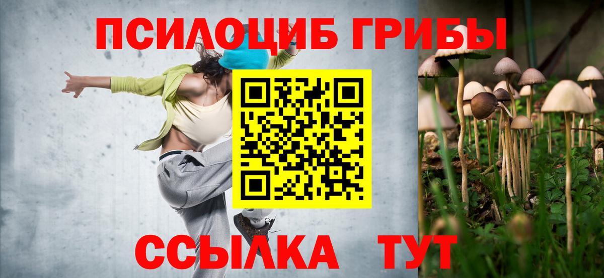 Галлюциногенные грибы мицелий Избербаш